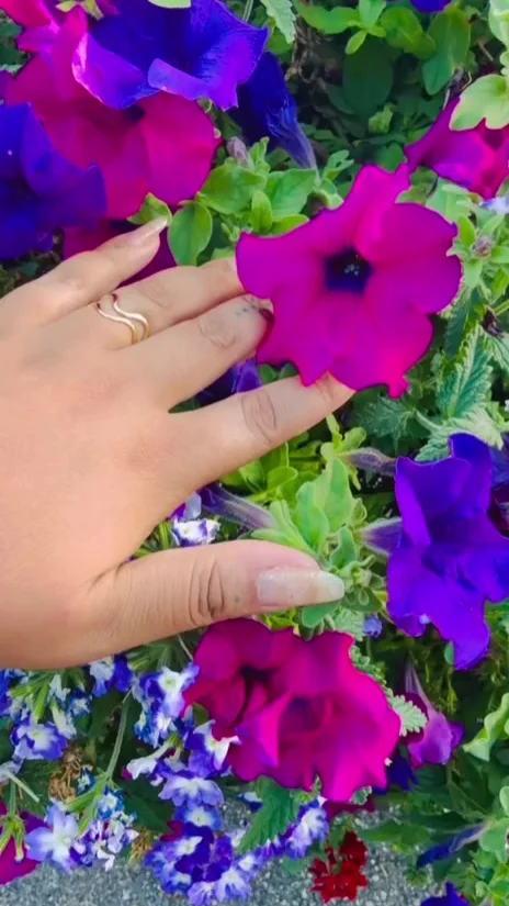 La bague La Bohème portée à l'index, la main effleurant des pétunias fuchsia et violets