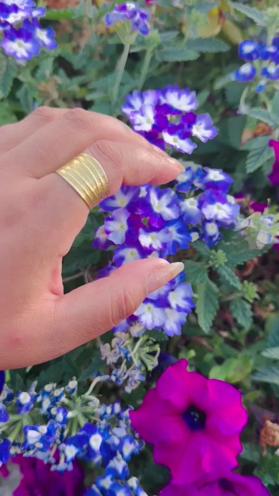 La bague La Solaire portée à l'index, la main caressant des verveines bleues et blanches